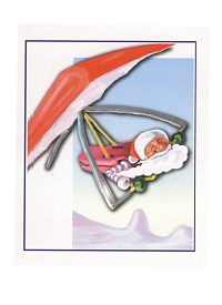 Hang Glider Christmas Cards pack of 15