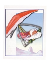 Hang Glider Christmas Cards pack of 15