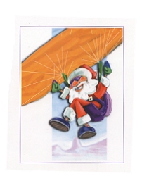 Santa Fly